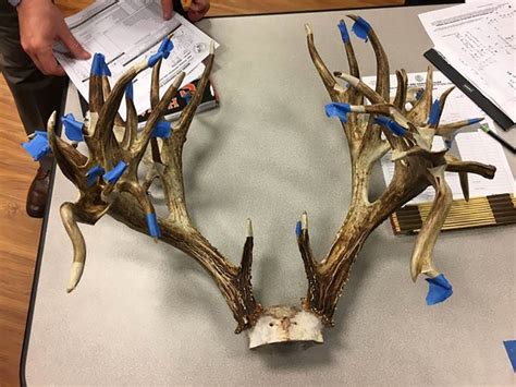 312 Inch Non Typical Whitetail Confirmed As New Record Game And Fish