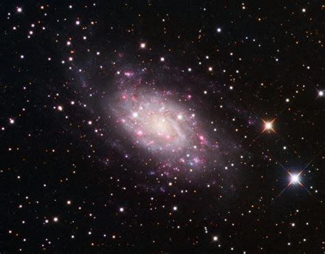 Ngc 2403 Stardreams Observatory