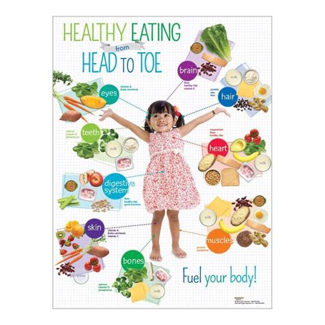 Preschool Healthy Eating From Head To Toe Poster Szkoła Domowe