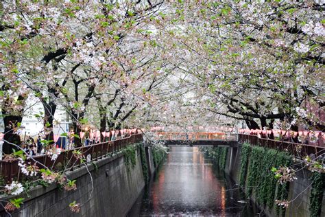 Everything about modern and traditional japan with emphasis on travel and living related information. tourisme-japon-tokyo-les-incontournables-nakameguro - Le ...