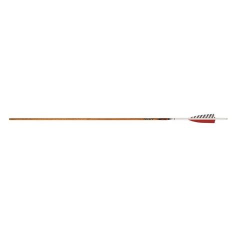 Easton Carbon Legacy Arrows 6 Pack 723779 Arrows Bolts And Nocks At