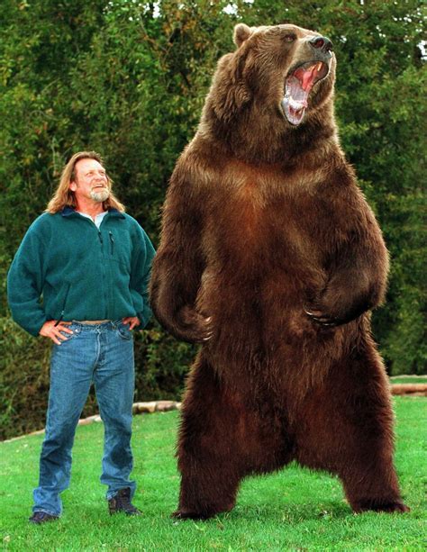 Un Bărbat Dresează Urși Grizzly De 40 De Ani Fotovideo