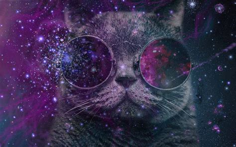 Galaxy Hipster Cat By Minami Hanamori On Deviantart