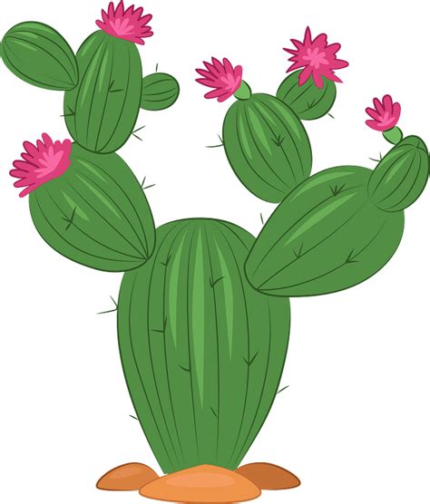 Cactus Clipart Free Download Transparent Png Creazilla