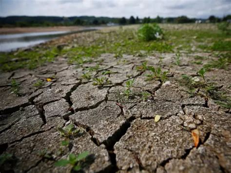 Many Areas Have Experienced Severe Droughts After Record Low Amounts Of
