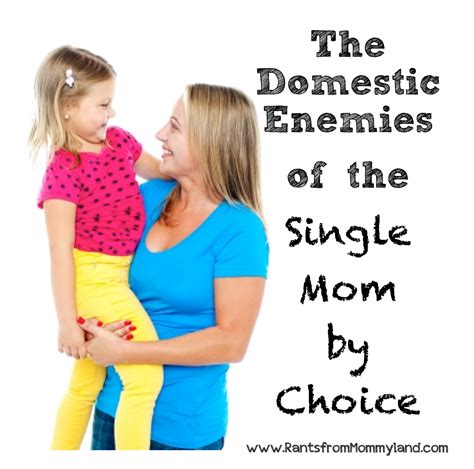 Rants From Mommyland Domestic Enemies Of The Single Mom By Choice
