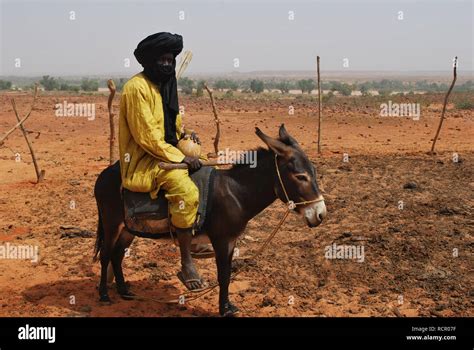 A Man Riding A Donkey In Niger Africa Stock Photo Alamy