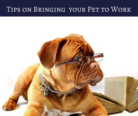 Avoid picking up your puppy unless absolutely necessary. National Take Your Dog to Work Day, Tips on bringing your ...