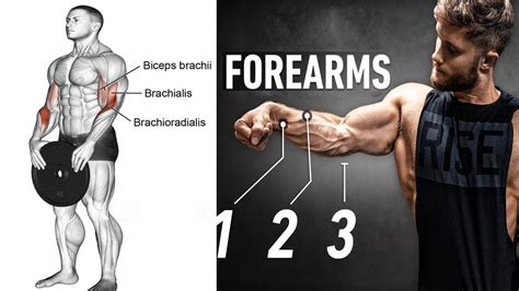 Forearm Exercises Dumbbell Forearm Workouts Gym Motivation Youtube