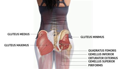 Glute Exercises For A Stronger Core Tighter Butt Corinne Olsen