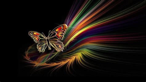 Colorful Butterfly Hd Wallpapers Real And Artistic