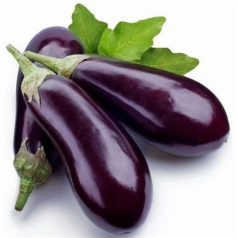 Fresh Brinjal At Rs 20kilogram Eggplant In Chennai Id 13288842533
