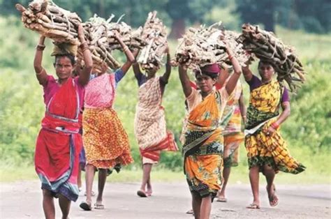 Adivasis In Several Odisha Jharkhand Districts Earn Less Than Rs 1