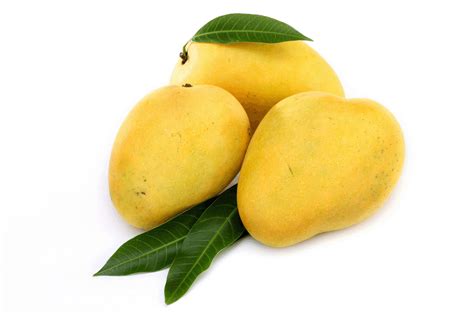 Star apple african spices mango pulp mango fruit. Beautiful Mango Images Latest Full HD Pictures Galleries