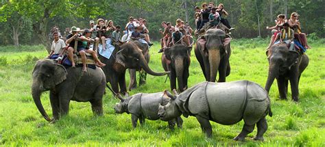 Chitwan Jungle Safari Tour Himalayan Encyclopedia