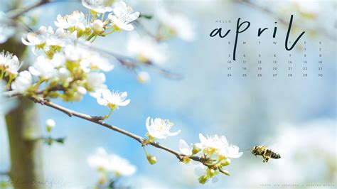 15 Selected Desktop Background April You Can Use It At No Cost