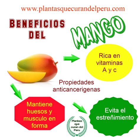 Aquí te dejo algunos consejos sobre cómo evitar la diabetes, así que pon mucha atención. Plantas que curan del PERU : Beneficios del mango / evita ...