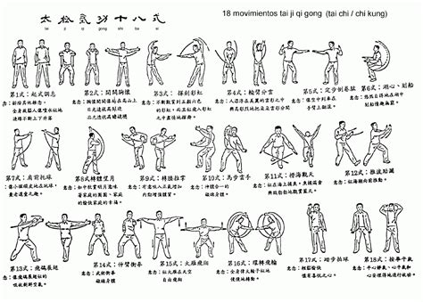 18 Movements Of Taiji Qigong Shibashi 十八式 Samim