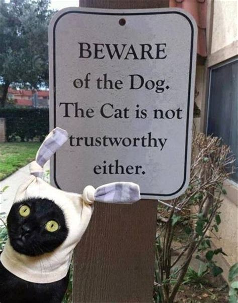 Beware Dog Cat Trustworthy Sign ~ Funny Joke Pictures