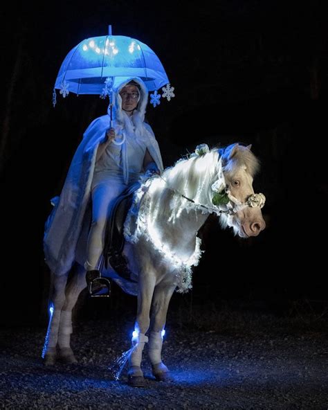 Top 6 Halloween Costumes For Your Horse Horses Horse Halloween