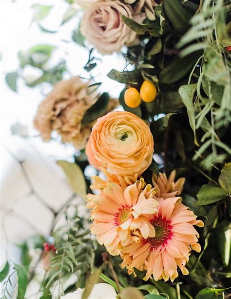 Oct 28, 2010 · shop costco's atlanta, ga location for electronics, groceries, small appliances, and more. Sherbet Ranunculus Gerbera Roses Flower Details, Savannah ...