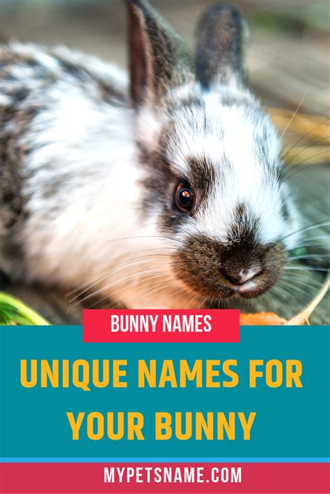 Unique Bunny Names Rabbit Names Bunny Names Female Rabbit Names