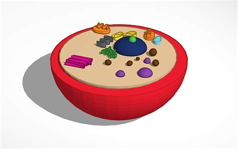 3d Design Patrick Animal Cell Tinkercad