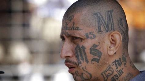 Feds Announce Charges Against Alleged Ms 13 Gang Members