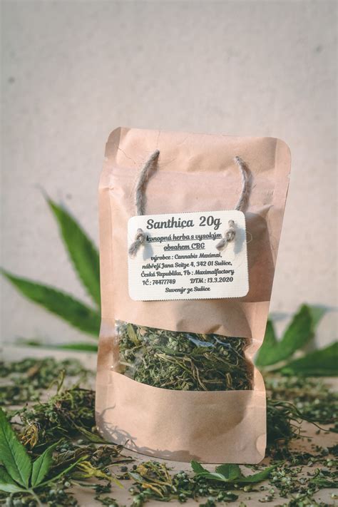 dobré konopí hanfkraut santhica mit cbg gewogen 1 bis 100kg 25 kg buds for buddies