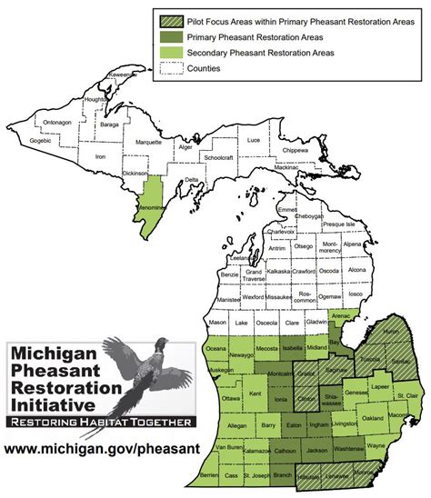 Michigan Public Land Map