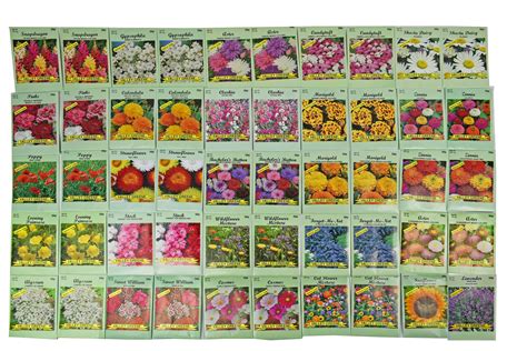 Set Of 100 Assorted 2019 Valley Green Flower Seed Packets Flower Seeds