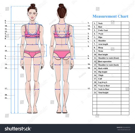 Woman Body Measurement Chart Scheme Measurement Stock Vector Royalty Free 502469932