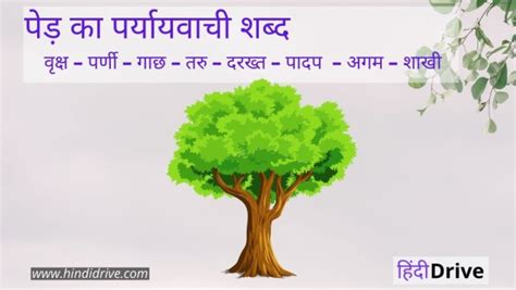 पेड़ का पर्यायवाची शब्द क्या होता है Ped Ka Paryayvachi Shabd In