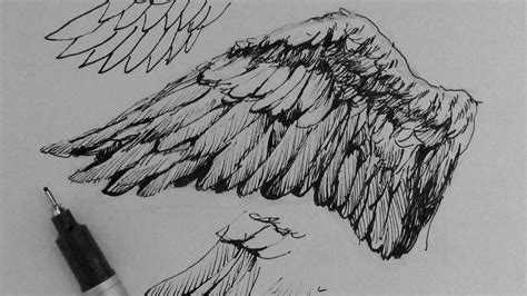 Pen And Ink Drawing Tutorials How To Draw Wings Youtube