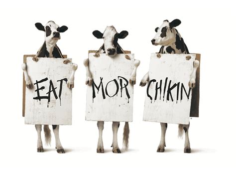 the cows and their call to eat mor chikin chick fil a canada