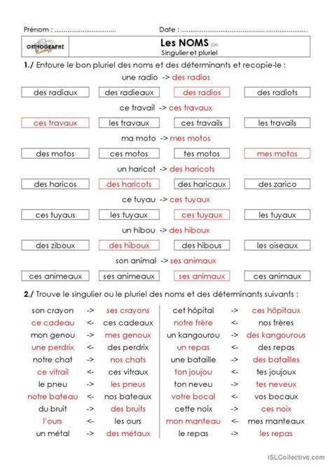 Singulier Pluriel Fran Ais Fle Fiches Pedagogiques Pdf Doc
