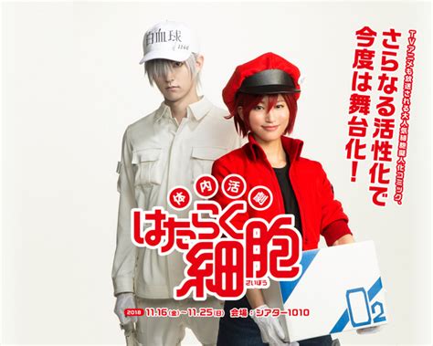 Cells At Work Stage Play Actors Work Hard In Poster Visual Otaku Usa
