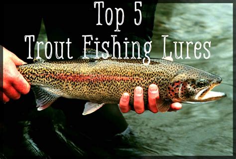 Best powerbait color for stocked trout 2021: Top 5 Best Trout Lures | SkyAboveUs