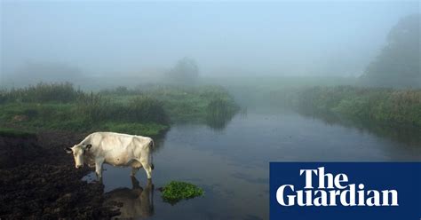 It provides a central focus to all parties. Memorable shots: Moments from Graham Turner's Guardian ...