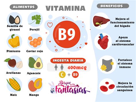 Las Vitaminas Alimentos Beneficios E Infograf As Para Primaria Hot Sex Picture