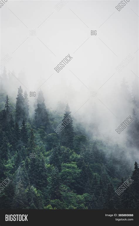 Misty Foggy Mountain Image And Photo Free Trial Bigstock