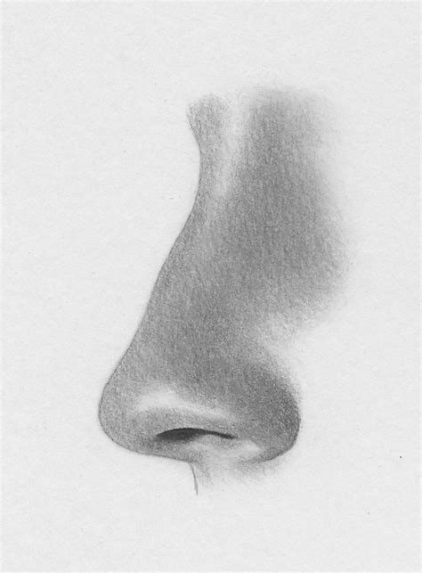 How To Draw The Nose Profile View Rapidfireart