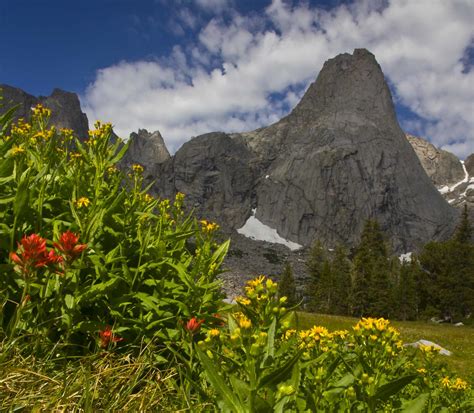 Pingora Peak Framed In Wildflowers Cirque Of The Towers Flickr