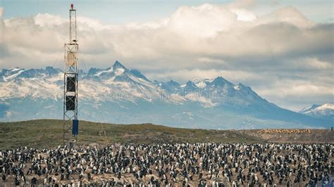 Landscape Of Ushuaia Patagonia Argentina Stock Image Image Of