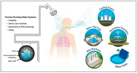 Legionnaires' disease is a severe form of pneumonia — lung inflammation usually caused by the bacterium legionella pneumophila is responsible for most cases of legionnaires' disease. Water | Free Full-Text | Legionellosis and Recent Advances ...