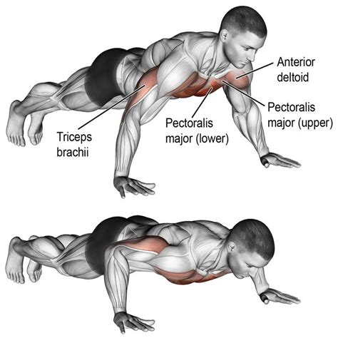 Flexiones Workout Guide Bodyweight Strength Training Bodyweight Workout