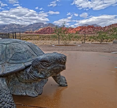 Red Rock Tortoise This Is A Sculpture Of A Desert Tortoise Flickr