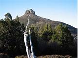 Pictures of Cradle Mountain Hiking