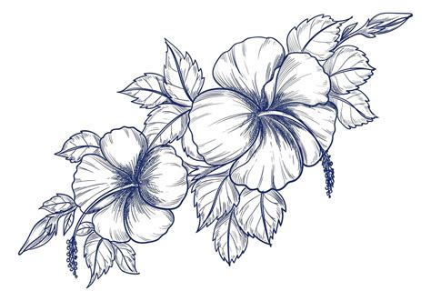 Flower Drawing Vector Art Icons And Graphics For Free Download