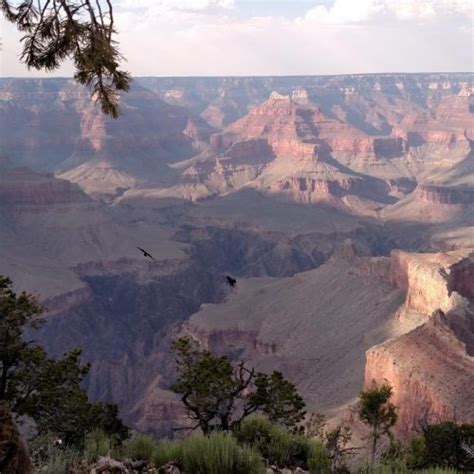 We did not find results for: Grand Canyon South Rim Tour by Bus from Las Vegas - Canyon ...